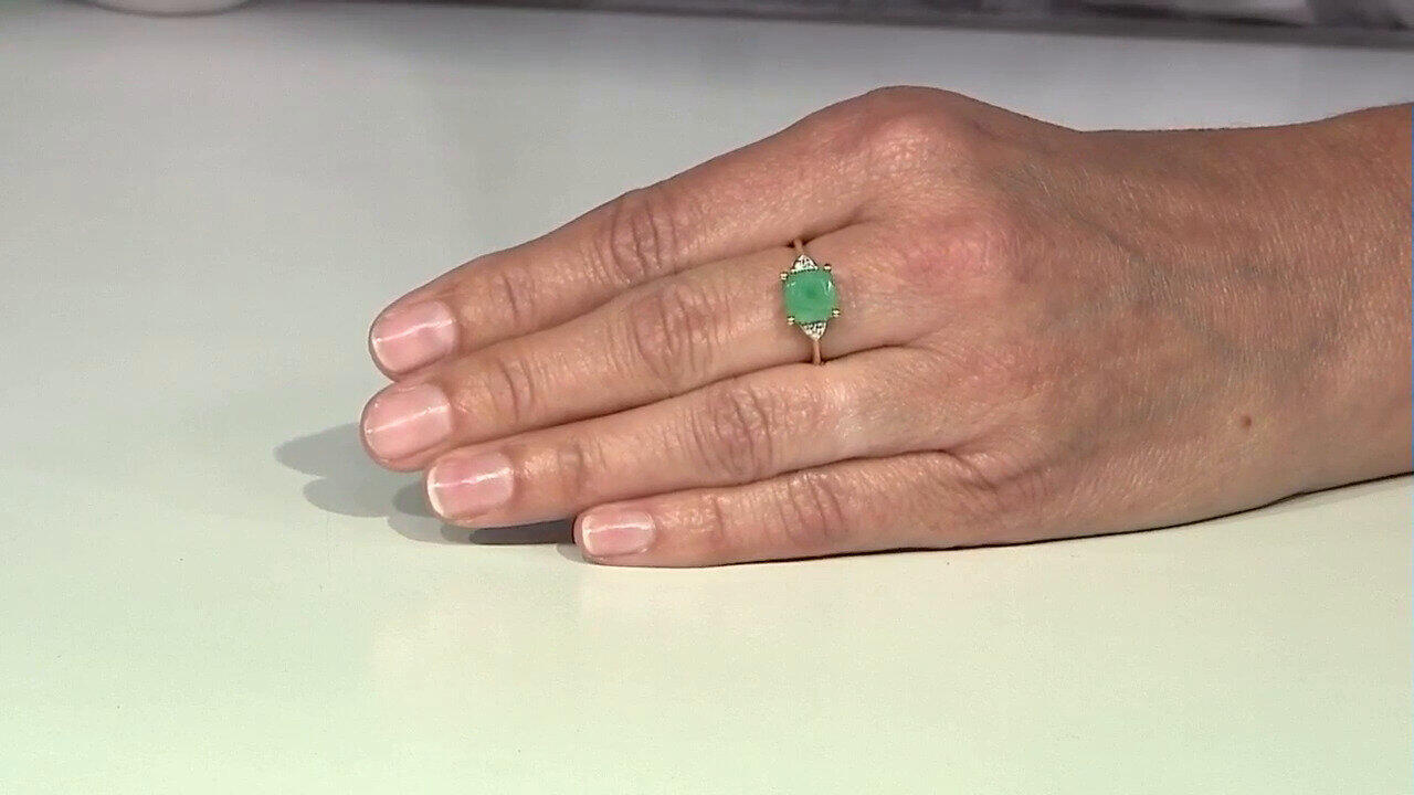 Letzte TV-Show ansehen