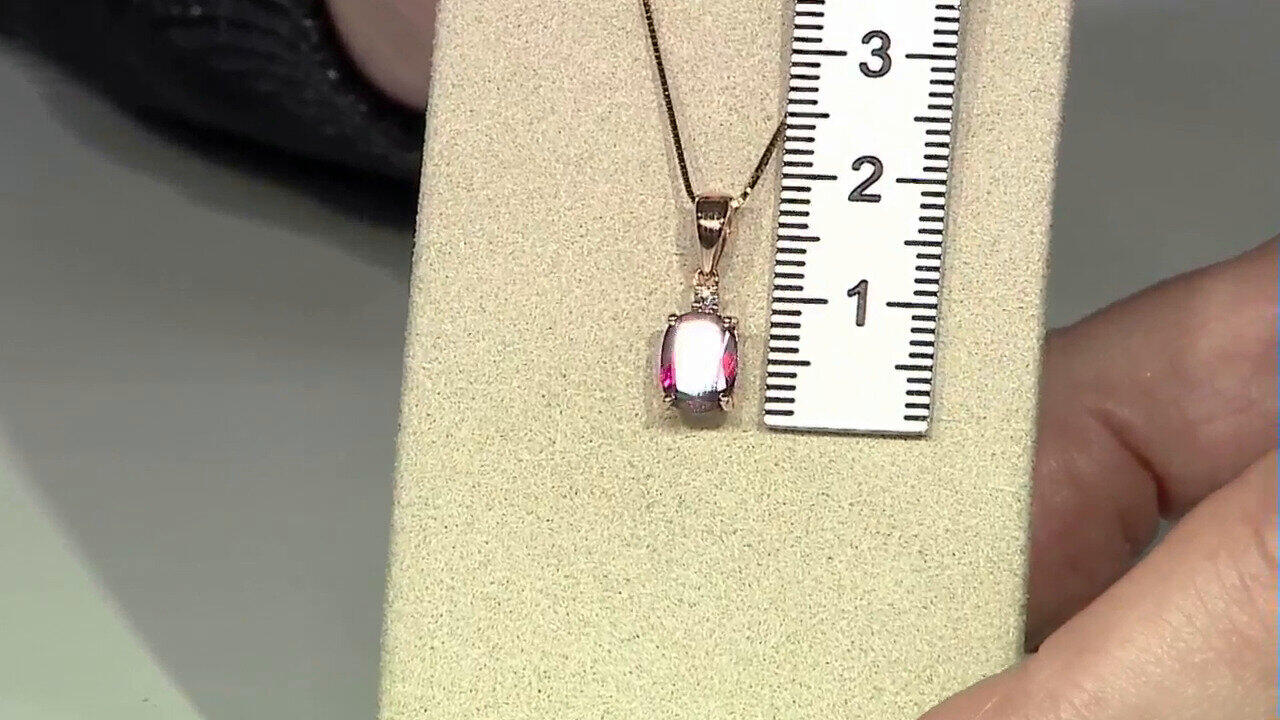 Laatste live aanbiedingen bekijken