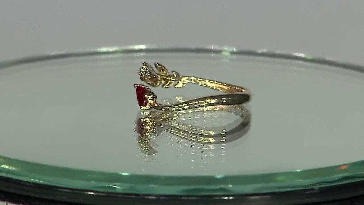 Letzte TV-Show ansehen