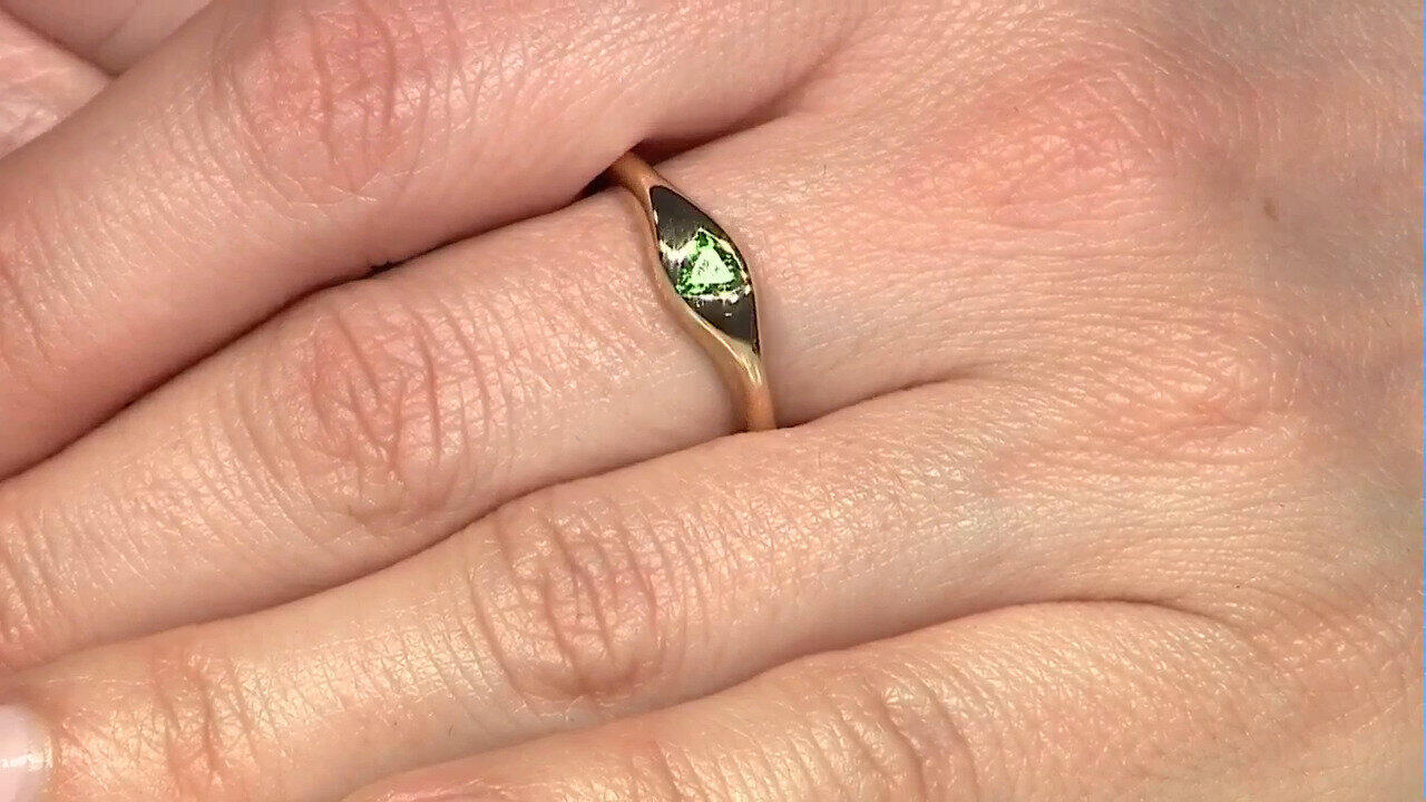 Letzte TV-Show ansehen