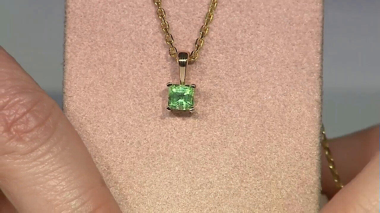 Letzte TV-Show ansehen