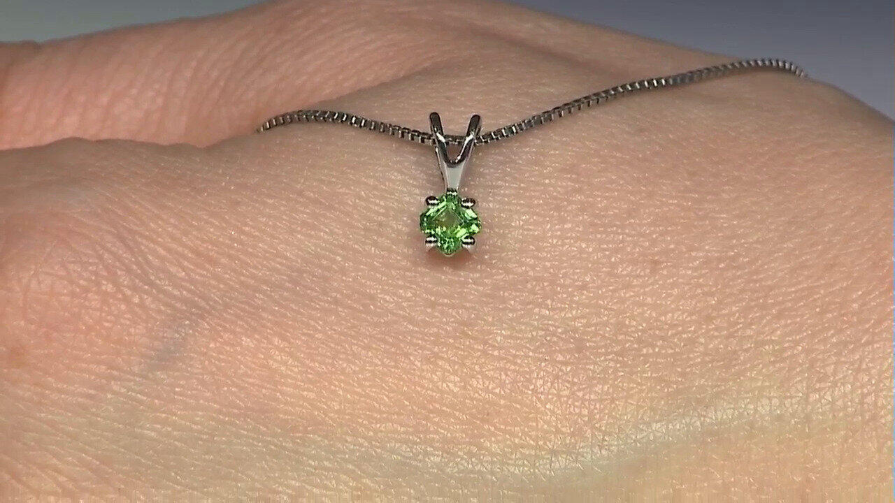 Letzte TV-Show ansehen