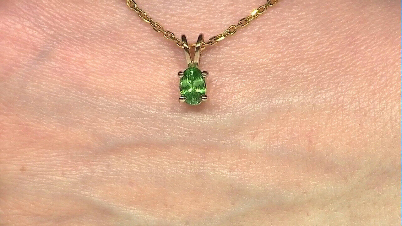 Letzte TV-Show ansehen