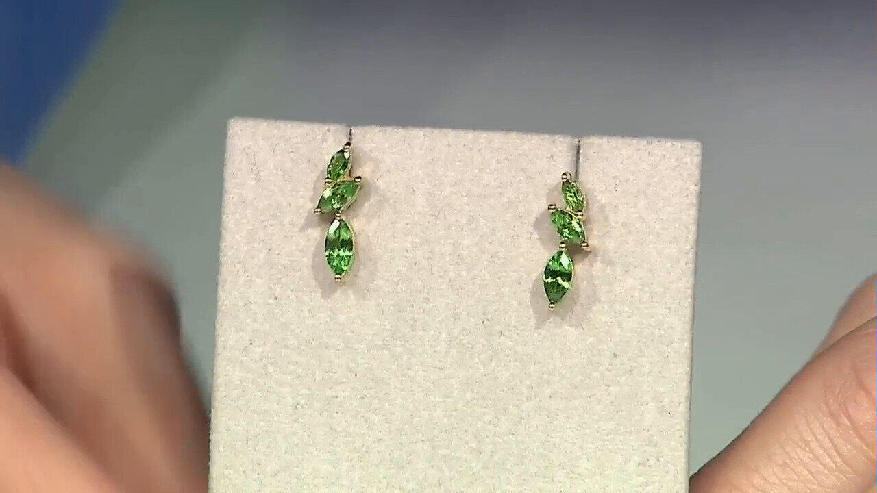 Letzte TV-Show ansehen