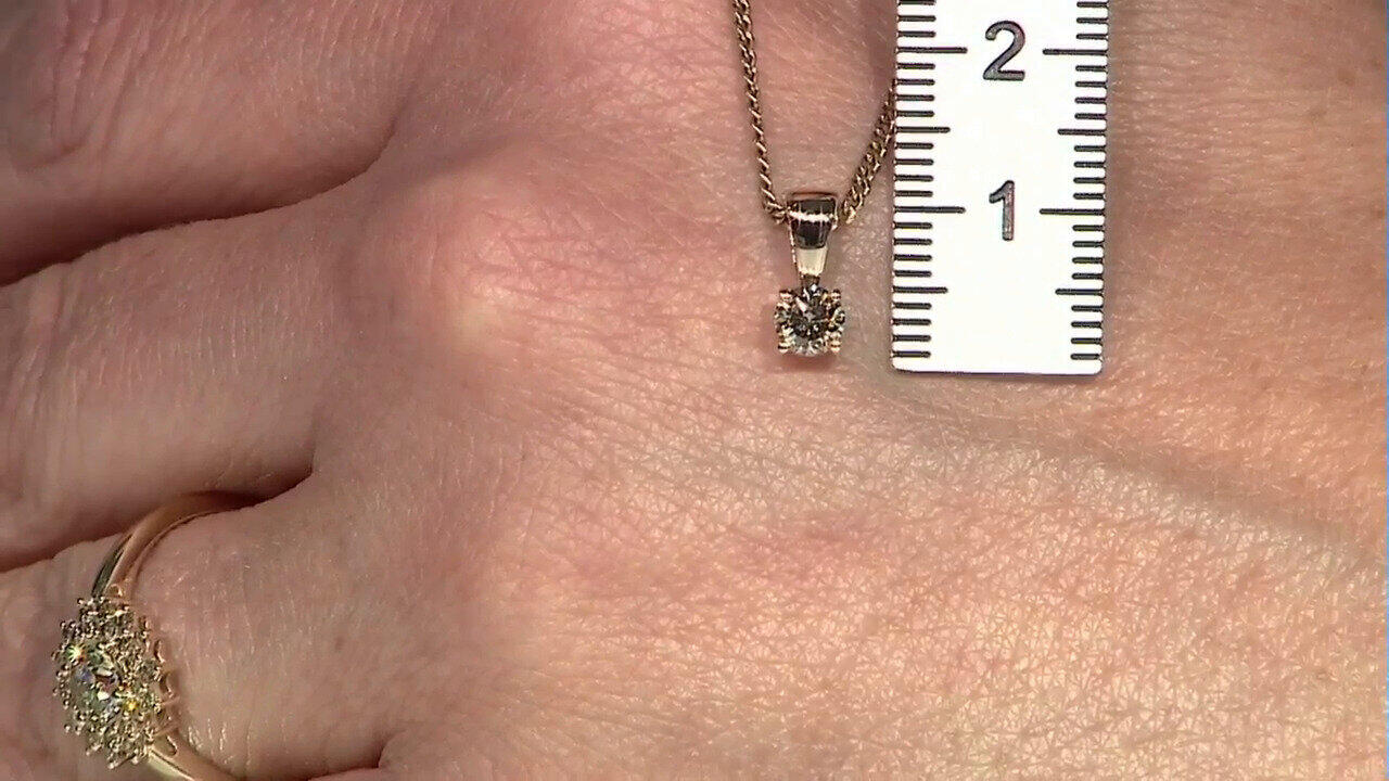 Letzte TV-Show ansehen