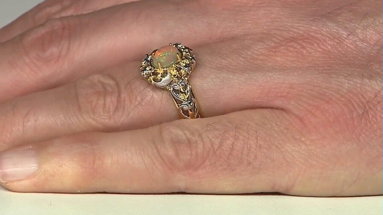 Letzte TV-Show ansehen