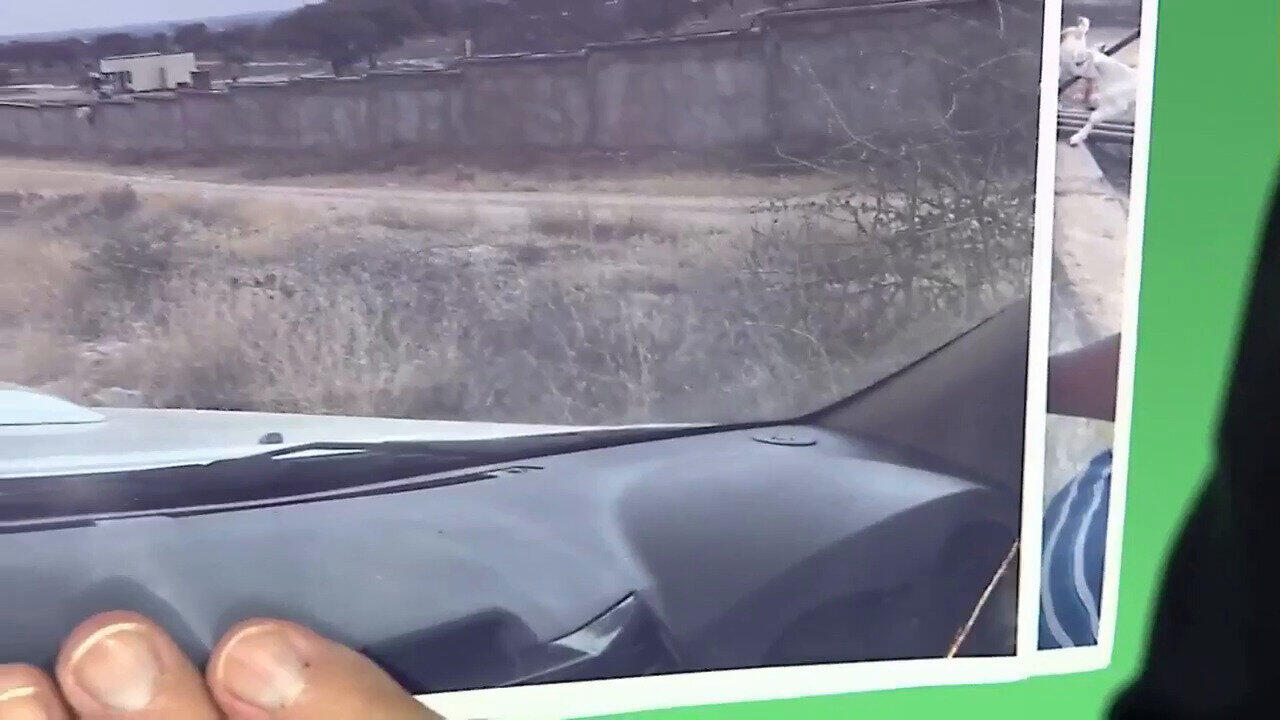 Letzte TV-Show ansehen