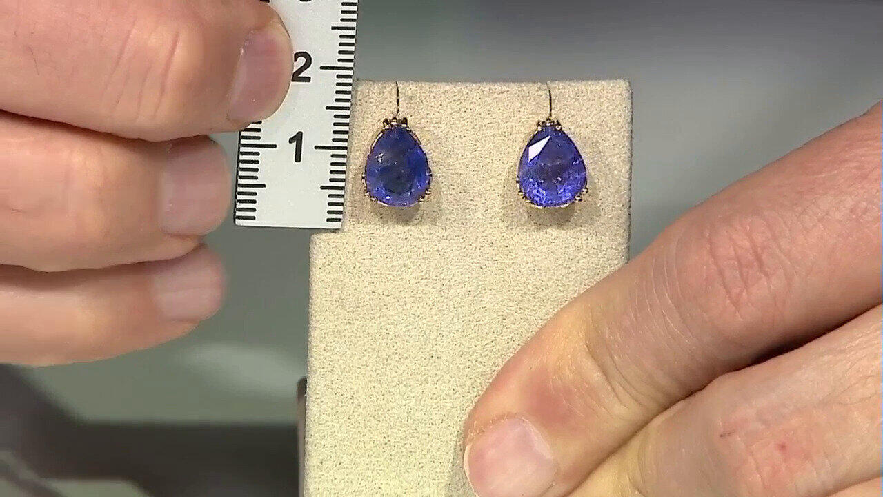 Laatste live aanbiedingen bekijken