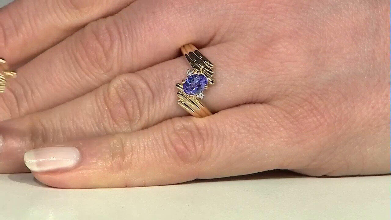 Letzte TV-Show ansehen