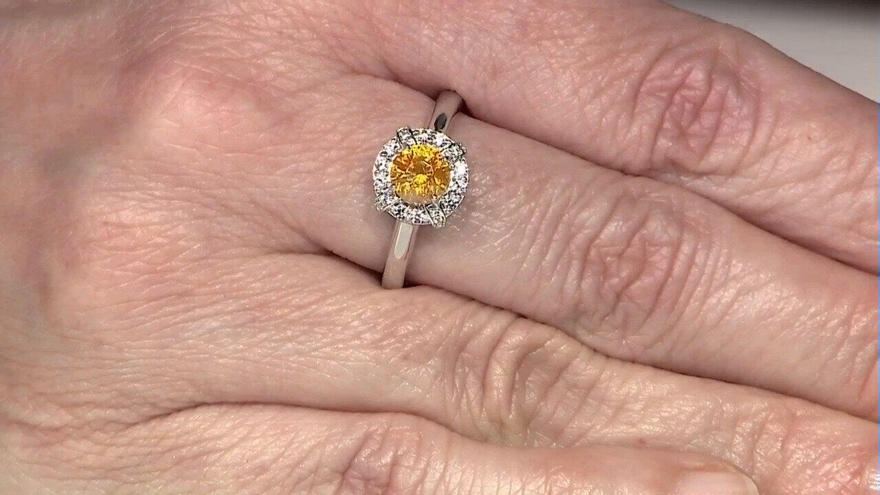 Letzte TV-Show ansehen