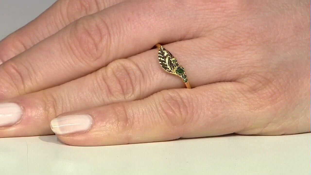 Letzte TV-Show ansehen