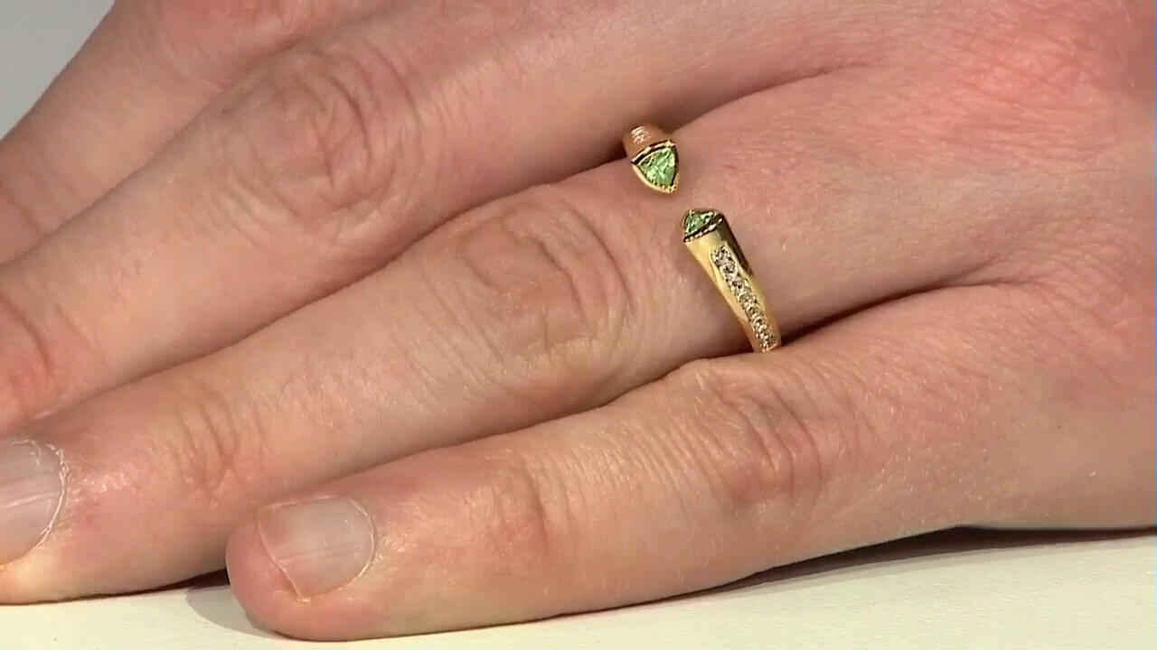 Letzte TV-Show ansehen