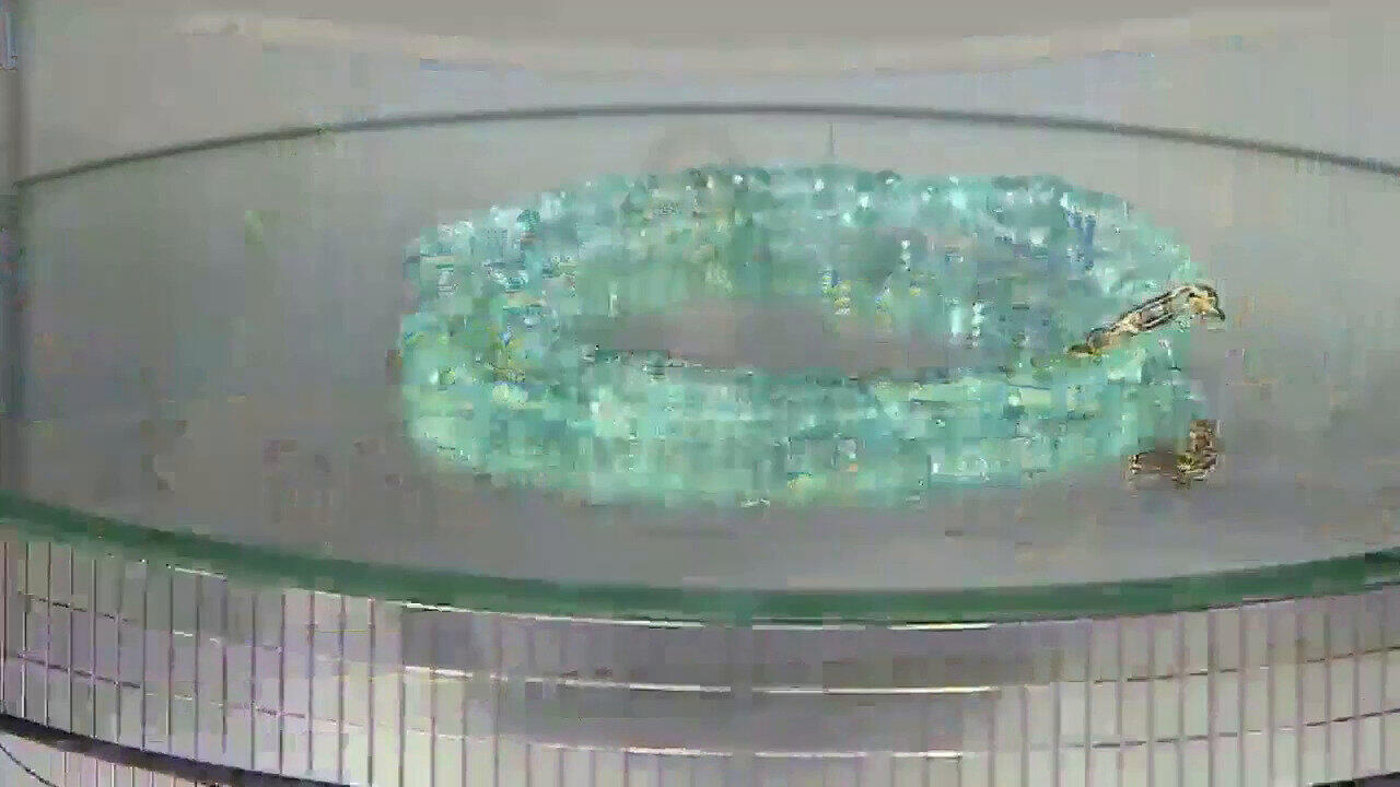 Visualizza l‘ultima asta di gioielli in Tv