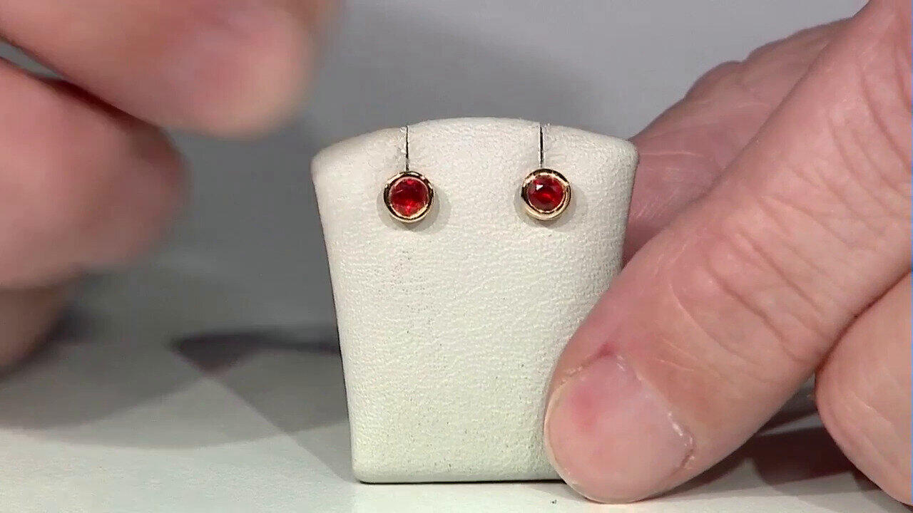 Oglądaj poprzedni program TV