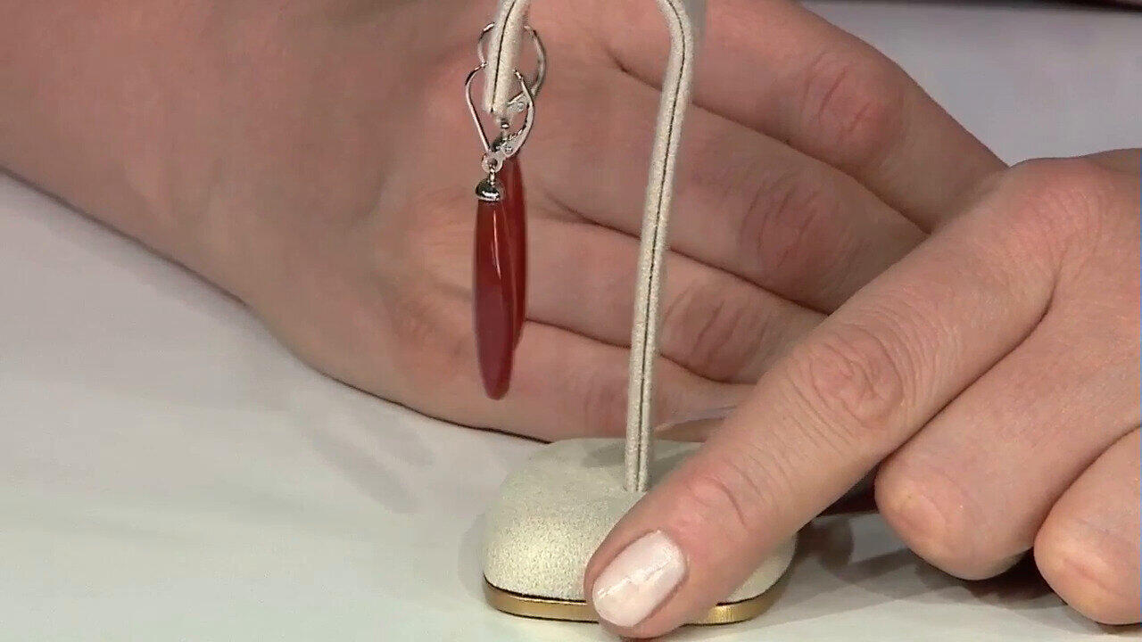 Oglądaj poprzedni program TV