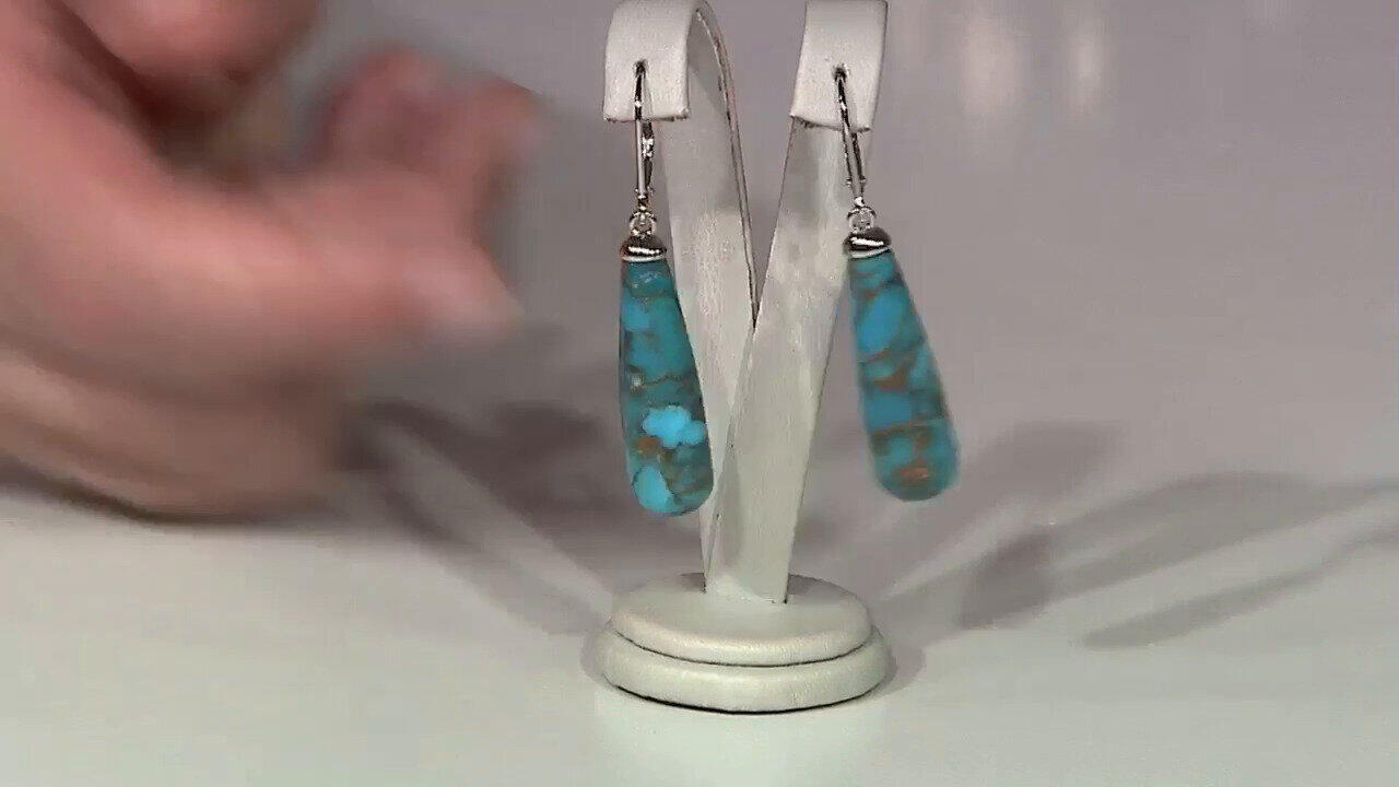 Oglądaj poprzedni program TV