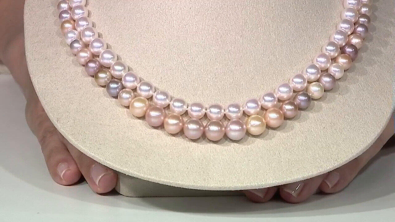 Oglądaj poprzedni program TV