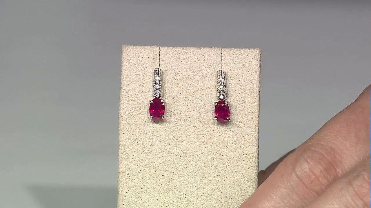 Oglądaj poprzedni program TV