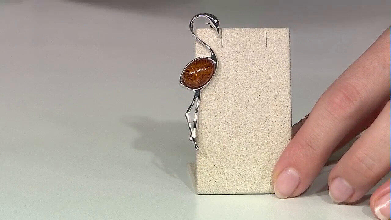 Oglądaj poprzedni program TV