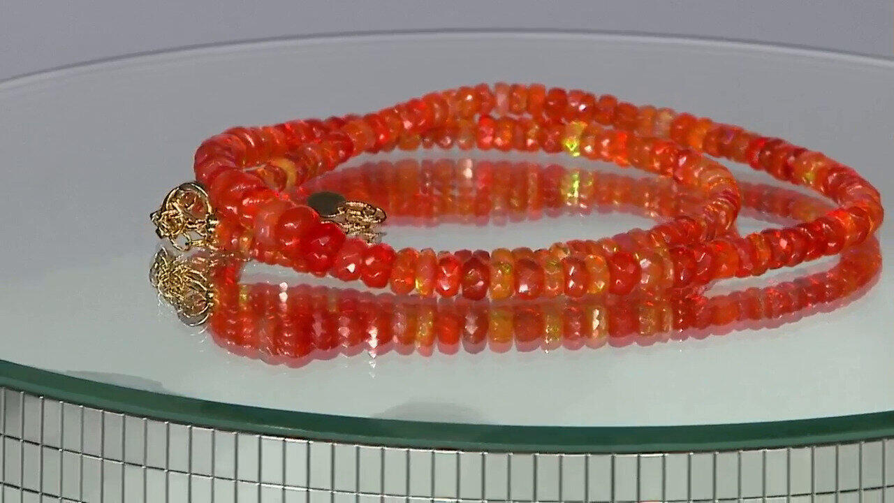 Oglądaj poprzedni program TV
