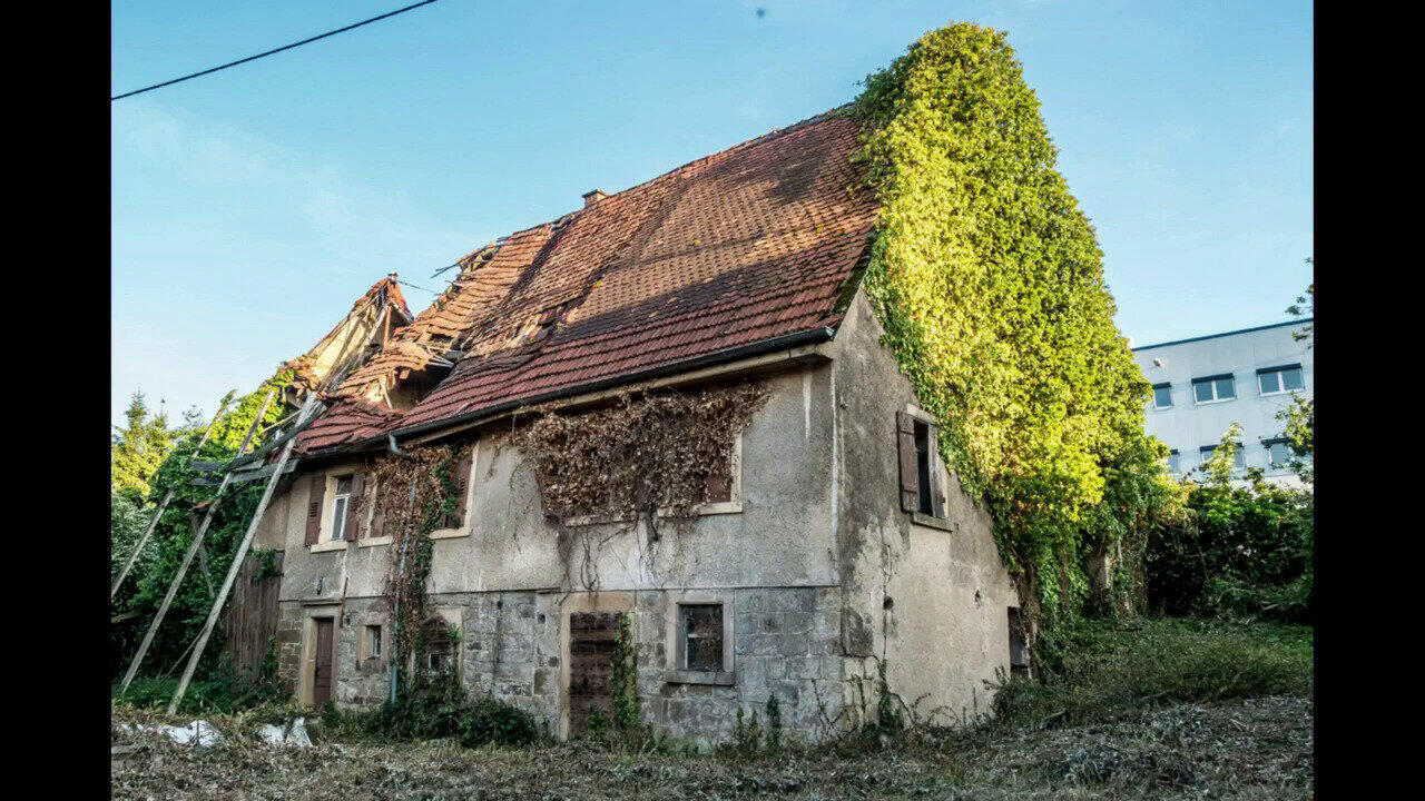Oglądaj poprzedni program TV