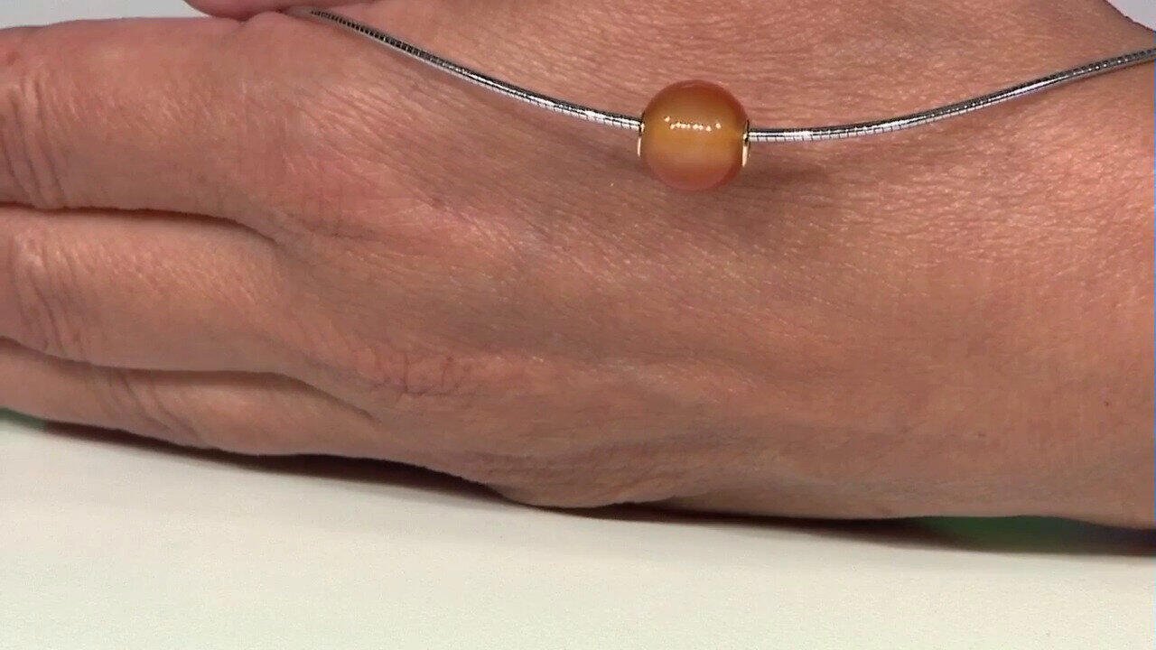 Letzte TV-Show ansehen