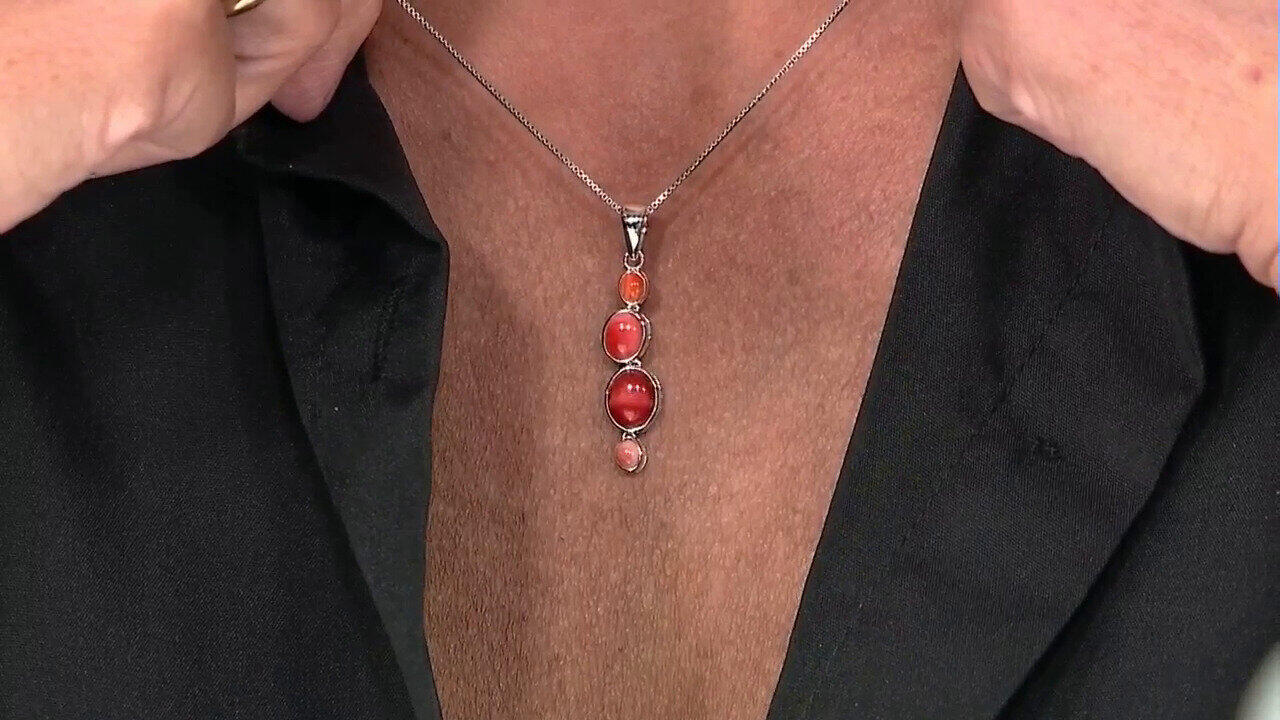 Letzte TV-Show ansehen