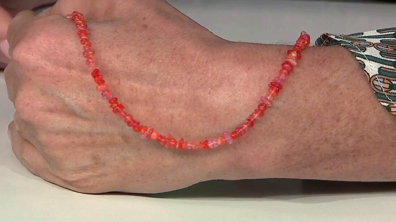 Laatste live aanbiedingen bekijken