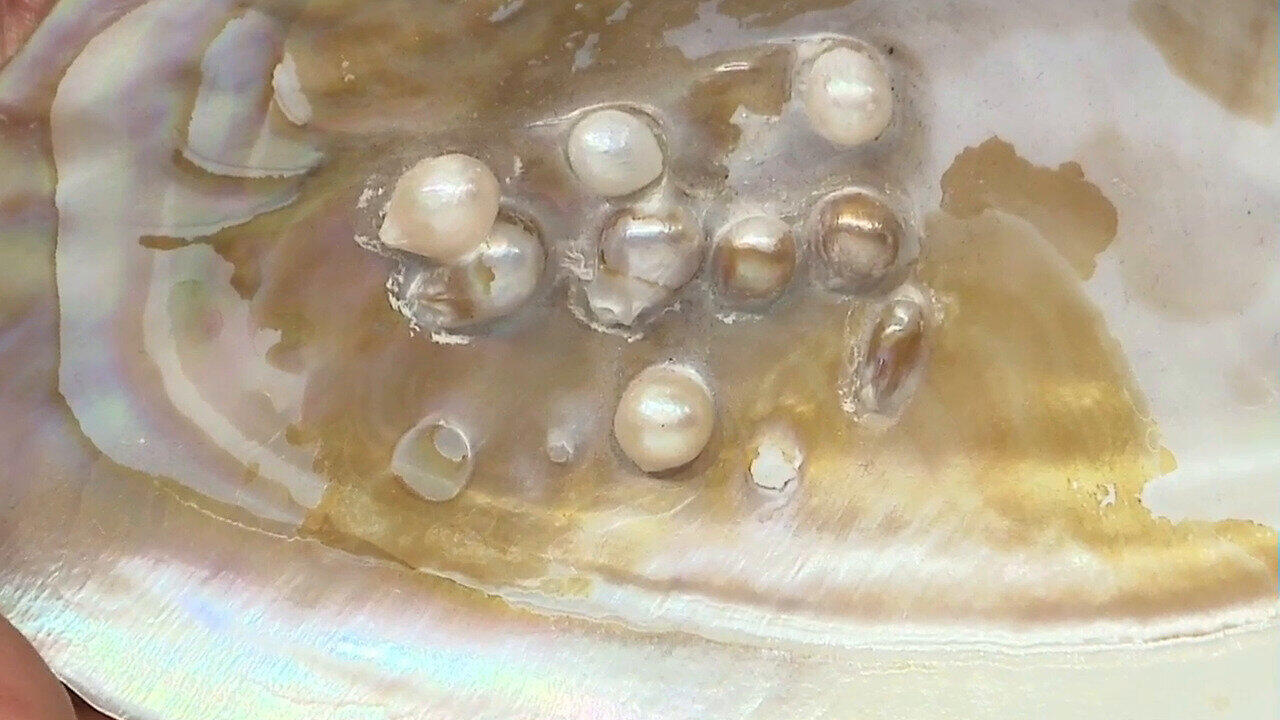 Visualizza l‘ultima asta di gioielli in Tv