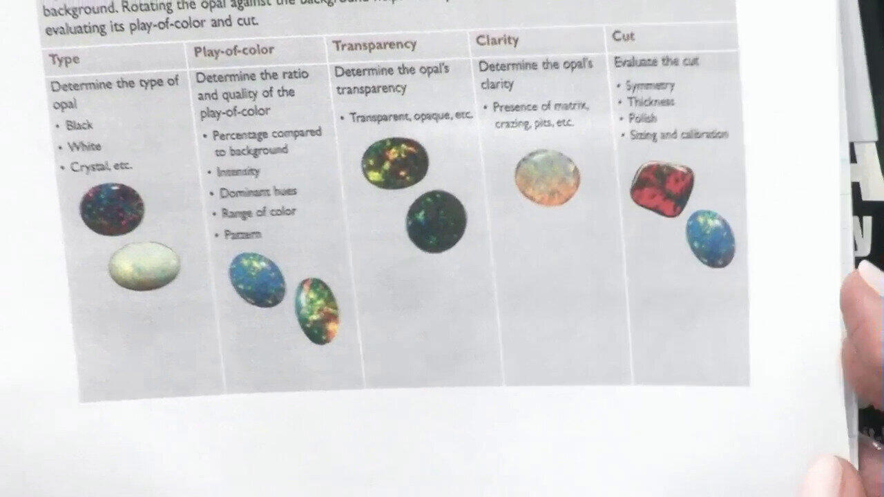 Letzte TV-Show ansehen