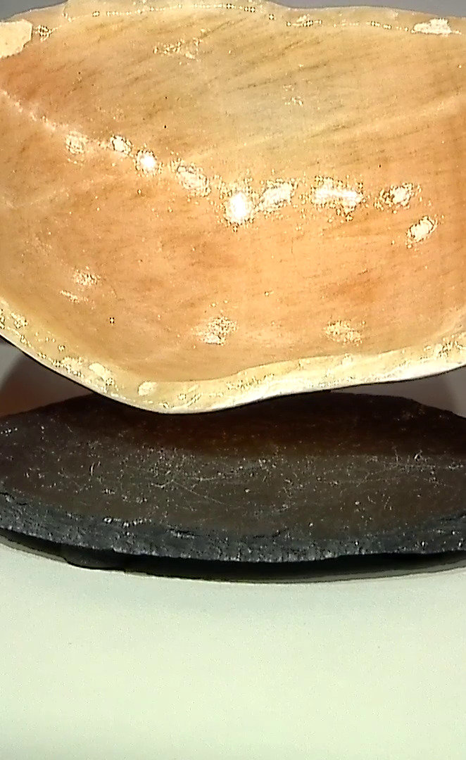 Letzte TV-Show ansehen