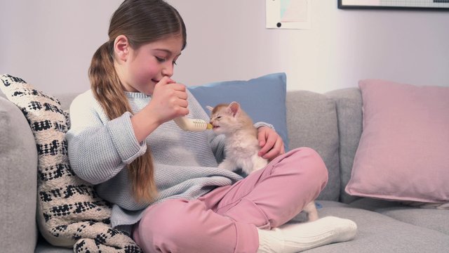 GimCat® Cat-Milk + Taurin