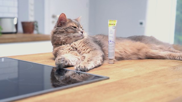 GimCat® Anti-Stress Paste