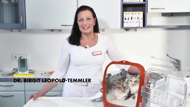 GimCat® Gastro Intestinal Paste