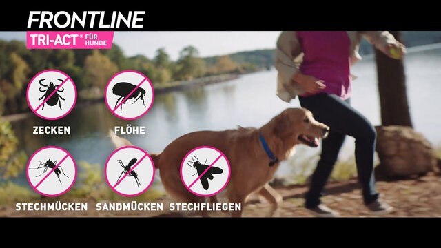 FRONTLINE TRI-ACT® gegen Zecken, Flöhe und fliegende Insekten beim Hund (40-60kg)
