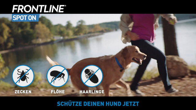 FRONTLINE® SPOT ON Hund (2-10kg) gegen Zecken und Flöhe