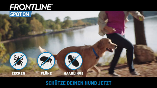 FRONTLINE® SPOT ON Hund (20-40kg) gegen Zecken und Flöhe