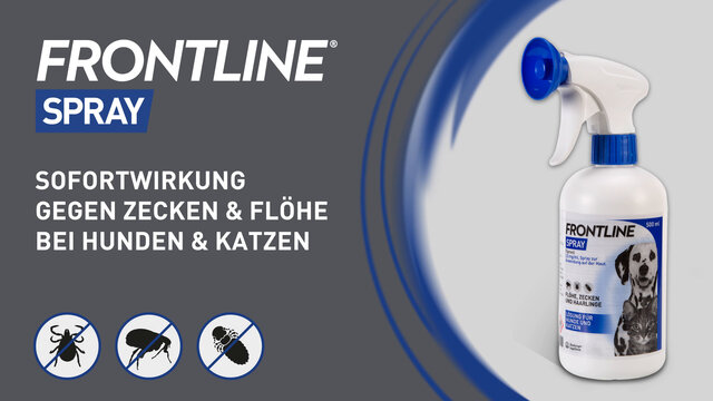 FRONTLINE® Spray gegen Zecken und Flöhe bei Hund und Katze