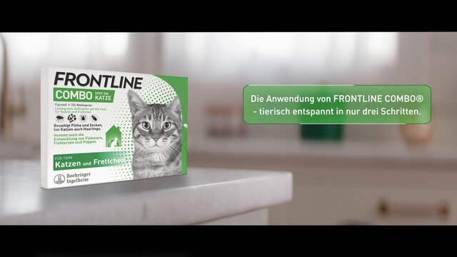 FRONTLINE COMBO® Spot on gegen Flöhe und Zecken Katze