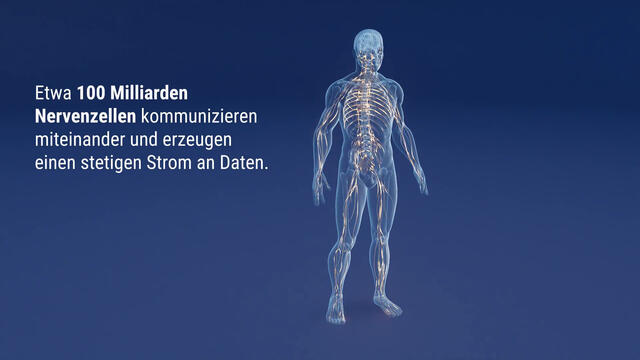 Keltican® forte Kapseln mit Uridinmonophosphat (UMP), Vitamin B12 und Folsäure zur Unterstützung der Nervenregeneration