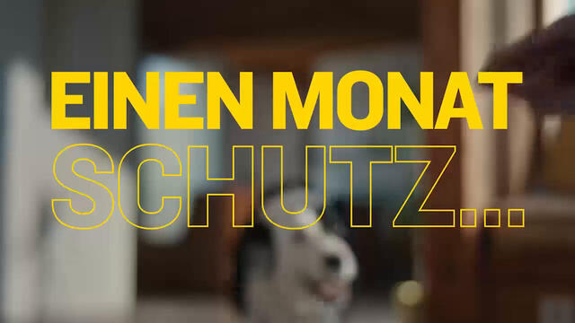 AdTab Kautabletten für Hunde über 1,3 bis 2,5 kg gegen Zecken und Flöhe, schnelle Abtötung von Parasiten für die Dauer von einem Monat