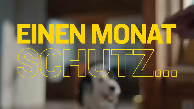 AdTab Kautabletten für Hunde über 2,5 bis 5,5 kg gegen Zecken und Flöhe, schnelle Abtötung von Parasiten für die Dauer von einem Monat