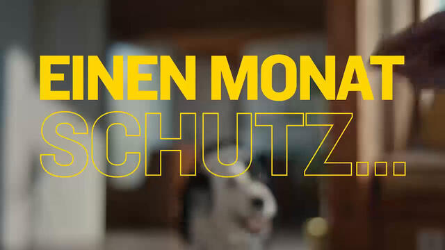AdTab Kautabletten für Hunde über 11 bis 22 kg gegen Zecken und Flöhe, schnelle Abtötung von Parasiten für die Dauer von einem Monat