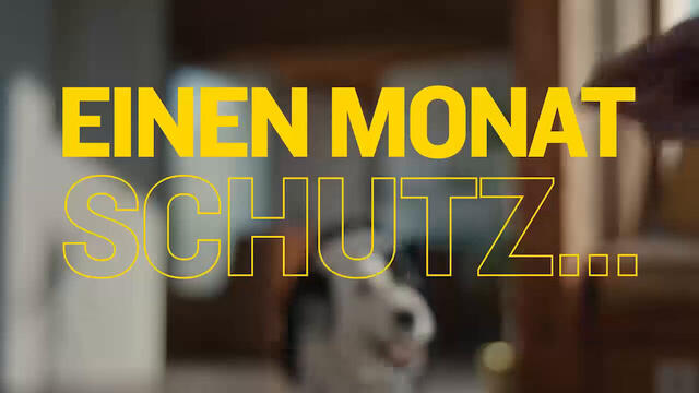 AdTab Kautabletten für Hunde über 22 bis 45 kg gegen Zecken und Flöhe, schnelle Abtötung von Parasiten für die Dauer von einem Monat
