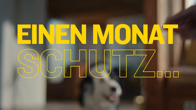 AdTab Kautabletten für Hunde über 5,5 bis 11 kg gegen Zecken und Flöhe, schnelle Abtötung von Parasiten für die Dauer von einem Monat