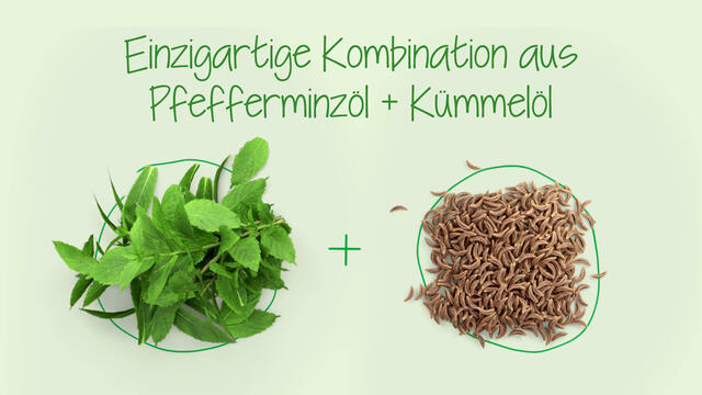 Carmenthin® bei Verdauungsstörungen