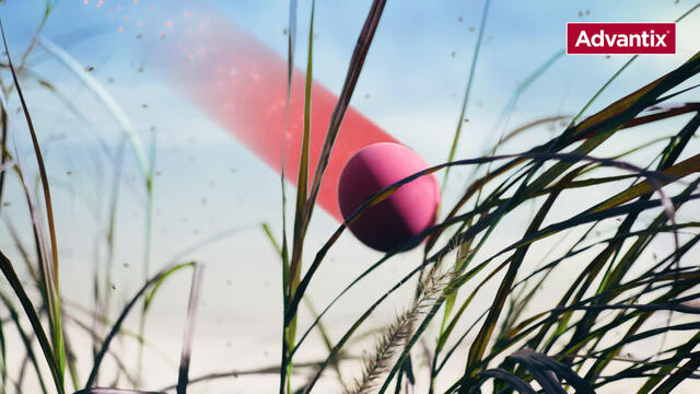 Advantix Spot-On 250 für mittelgroße Hunde von 10 bis 25 kg Körpergewicht gegen Zecken, Flöhe und fliegende Insekten, bis zu 4 Wochen Wirksamkeit