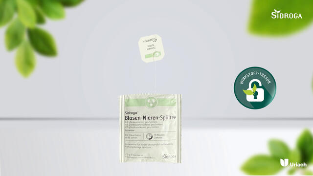 Sidroga® Blasen- und Nierentee
