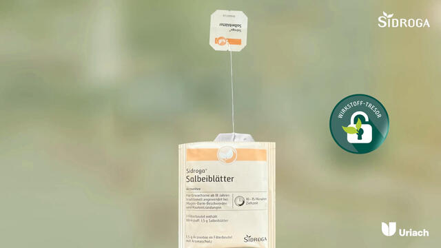 Sidroga® Salbeiblättertee