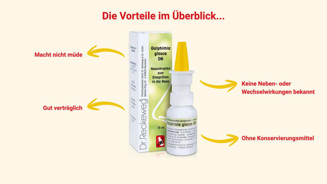 Dr. Reckeweg® Galphimia glauca D6